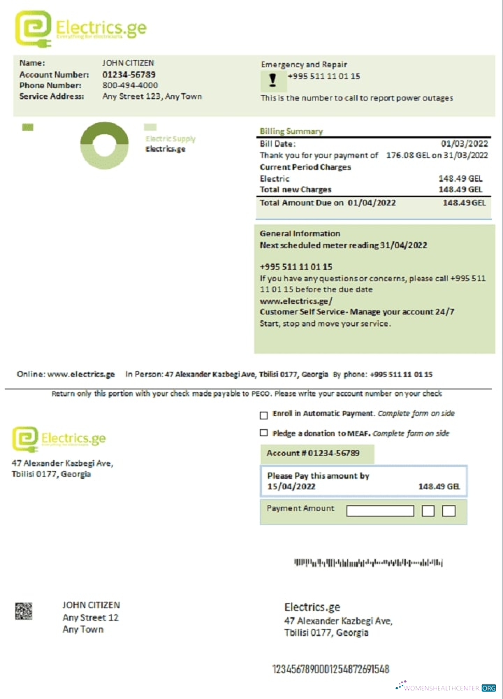 download download Georgia Electrics.ge electricity bill